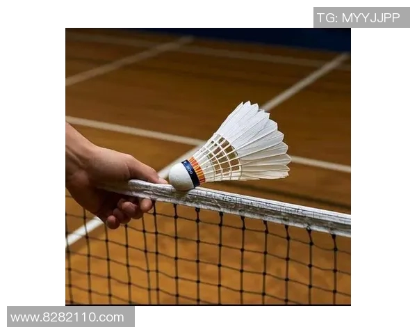 羽毛球新手必看入门攻略轻松掌握技巧与战术提升游戏乐趣 羽毛球新手必看入门攻略轻松掌握技巧与战术提升游戏乐趣