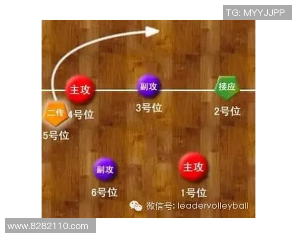 体育实时数据重庆排球队进攻战术解析与技术深度分析 体育实时数据重庆排球队进攻战术解析与技术深度分析