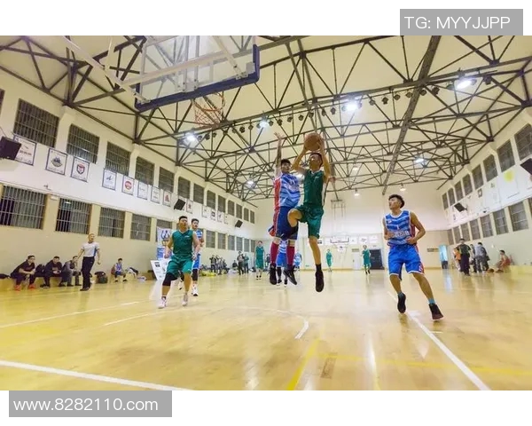 今年运动数据张敏专访揭秘排球成功秘诀与背后故事的深度解析