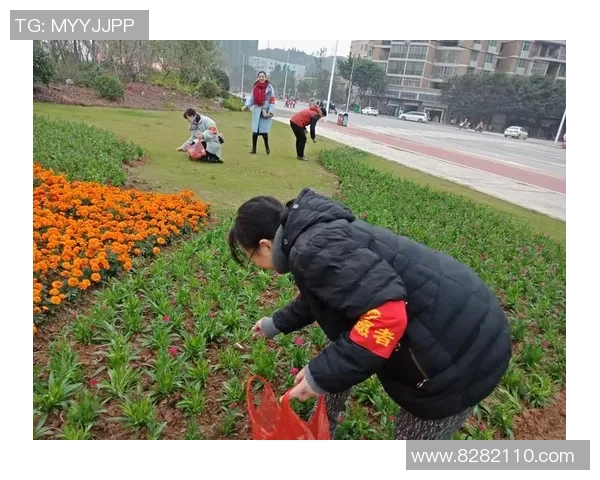 今年运动数据重庆极限运动队的拼搏之路勇敢追梦的真实故事与奋斗纪实 今年运动数据重庆极限运动队的拼搏之路勇敢追梦的真实故事与奋斗纪实