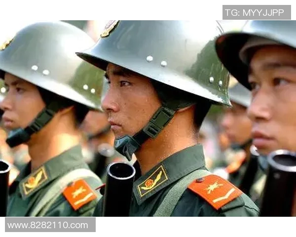 实时新闻深圳排球队创新边路渗透战术探讨与实践分析